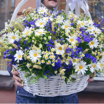 Ромашки с колосьями - 101 шт. Ромашки с колосьями - 101 шт.