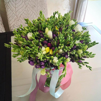 Бело-фиолетовый букет из 101 фрезии