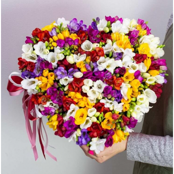 101 разноцветная фрезия в сердце