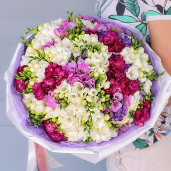 151 бело-малиновая фрезия в букете