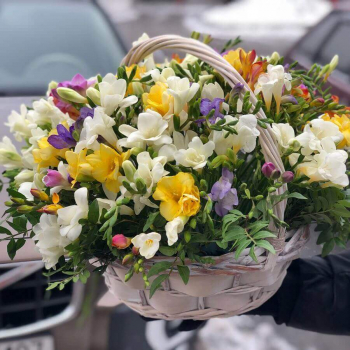 151 фрезия в корзине 151 фрезия в корзине