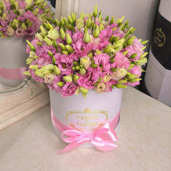 19 эустом в коробке