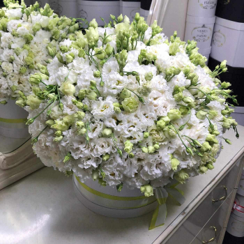 101 белая эустома в коробке