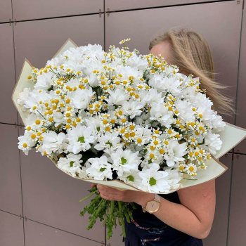 Хризантемы с ромашками - 35 шт. Хризантемы с ромашками - 35 шт.
