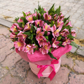 19 розовых альстромерий 19 розовых альстромерий