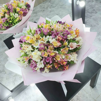 29 альстромерий в букете 29 альстромерий в букете