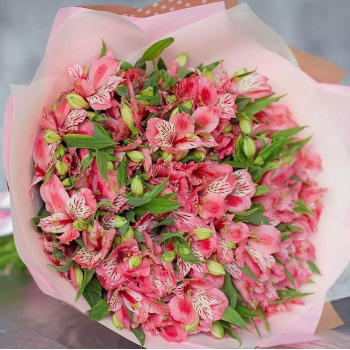 29 розовых альстромерий 29 розовых альстромерий