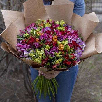 41 разноцветная альстромерия