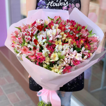 51 нежно-розовая альстромерия 51 нежно-розовая альстромерия