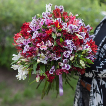 51 разноцветная альстромерия