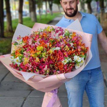 151 разноцветная альстромерия