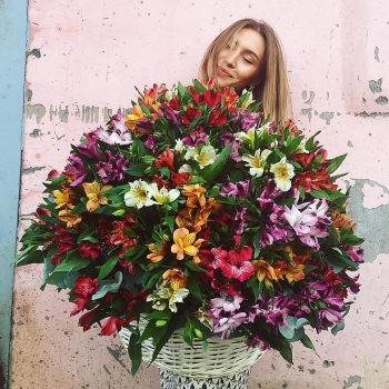 201 альстромерия в корзине