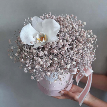 15 розовых гипсофил с орхидей в коробке