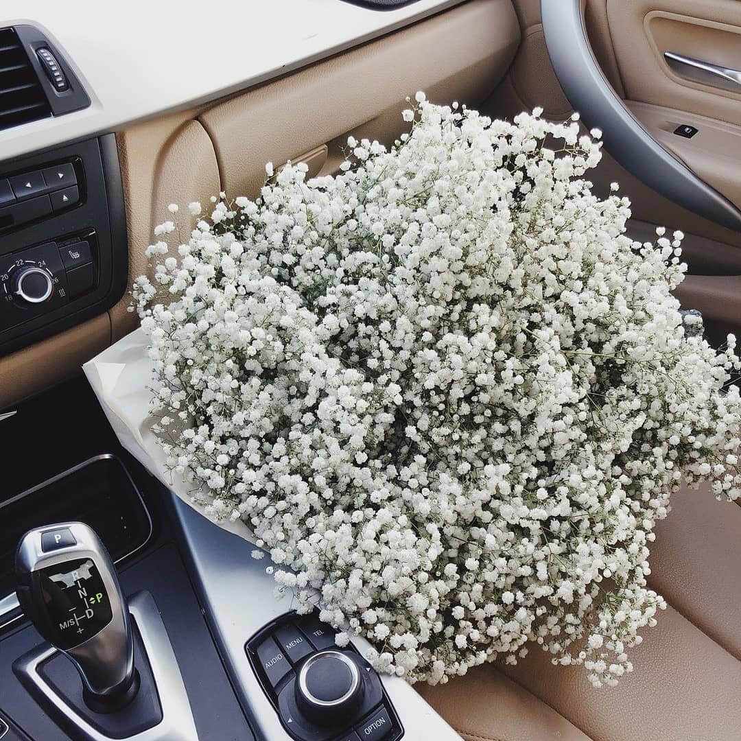 25 белых гипсофил в букете