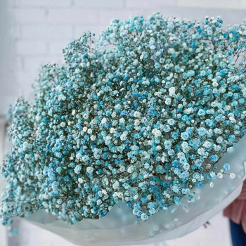 51 бирюзовая гипсофила в букете 51 бирюзовая гипсофила в букете