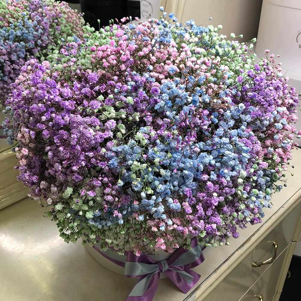 25 разноцветных гипсофил в коробке