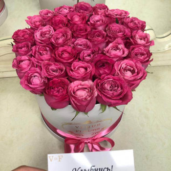 25 малиновых роз в коробке