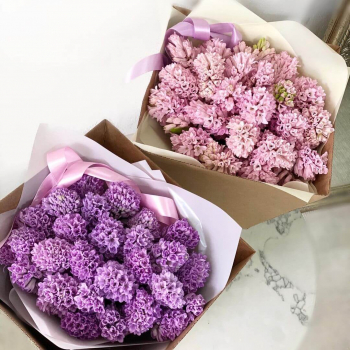 19 гиацинт моно-букет