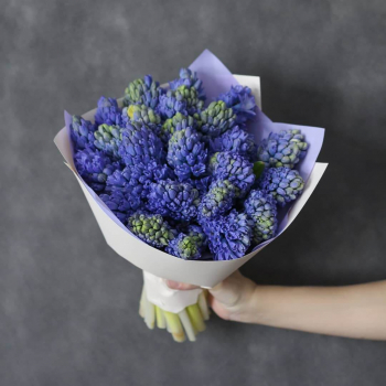 19 синих гиацинт в букете
