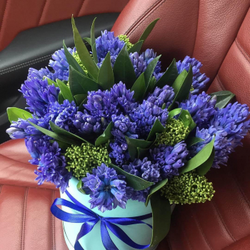 19 синих гиацинт в коробке