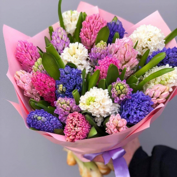 25 разноцветных гиацинт в букете