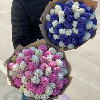 51 гиацинт в букете 51 гиацинт в букете