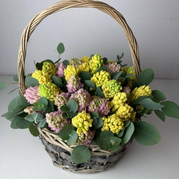 51 розово-зеленый гиацинт в корзине