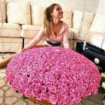 501 розовая роза в корзине 501 розовая роза в корзине