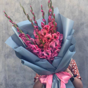 9 розовых гладиолусов 9 розовых гладиолусов