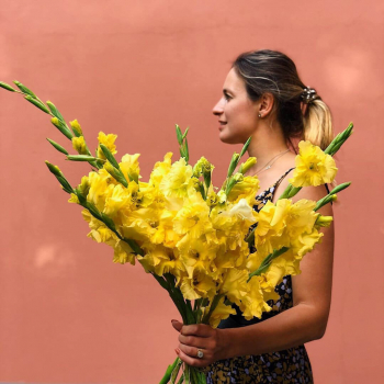 9 желтых гладиолусов 9 желтых гладиолусов