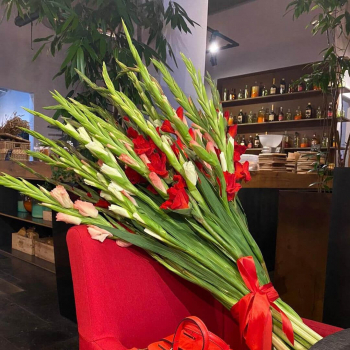 19 красно-белых гладиолусов в букете 19 красно-белых гладиолусов в букете