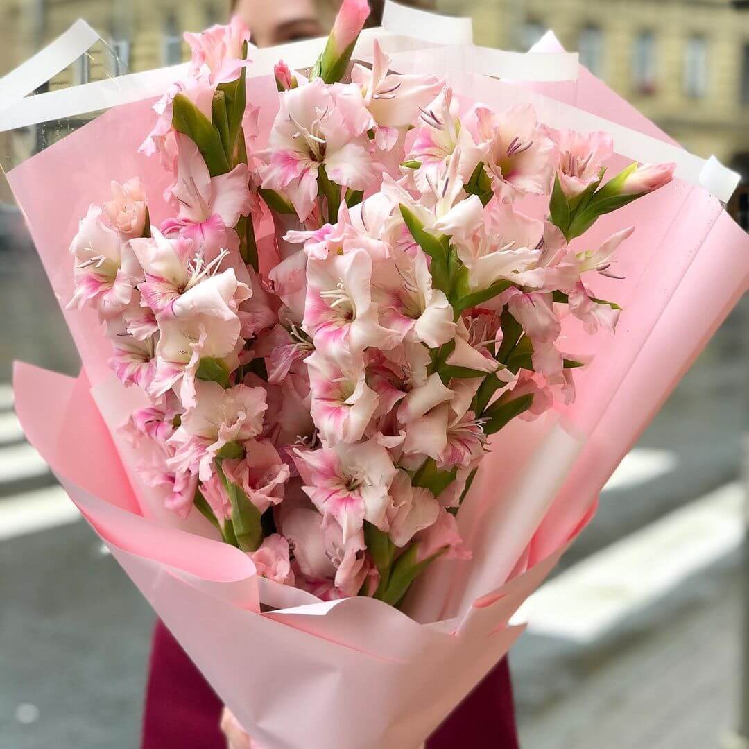 19 нежно-розовых гладиолусов в букете
