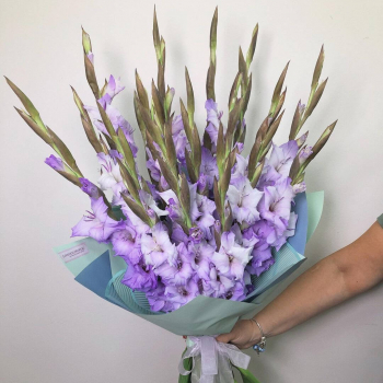19 фиолетовых гладиолусов в букете 19 фиолетовых гладиолусов в букете