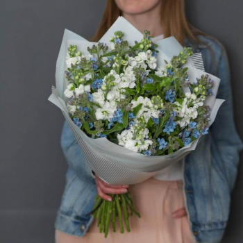 Маттиолы в букете - 19 шт. Маттиолы в букете - 19 шт.