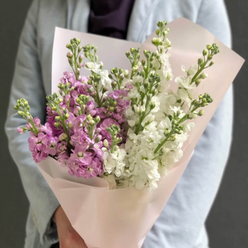 15 бело-розовых маттиол в букете 15 бело-розовых маттиол в букете
