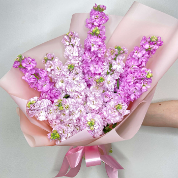 19 розово-фиолетовых маттиол в букете