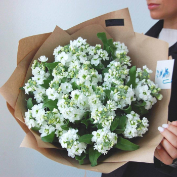 19 белых маттиол в букете