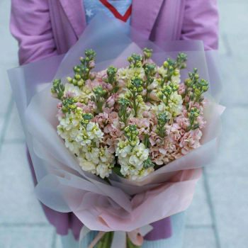 19 бело-персиковых маттиол в букете