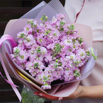 19 нежно-розовых маттиол в букете 19 нежно-розовых маттиол в букете