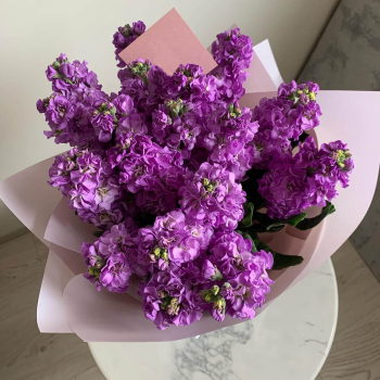 19 фиолетовых маттиол в букете 19 фиолетовых маттиол в букете