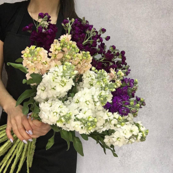 41 бело-фиолетовая маттиола в букете