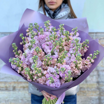 51 нежно-фиолетовая маттиола в букете