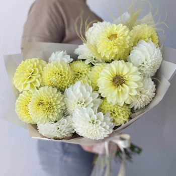 19 бело-желтых георгин в букете