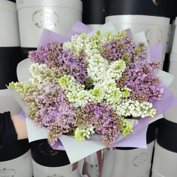 Букет из 19 веток сирени Букет из 19 веток сирени