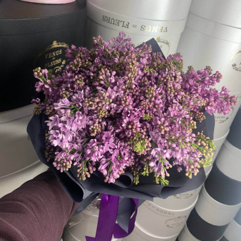 Букет из 19 веток фиолетовой сирени