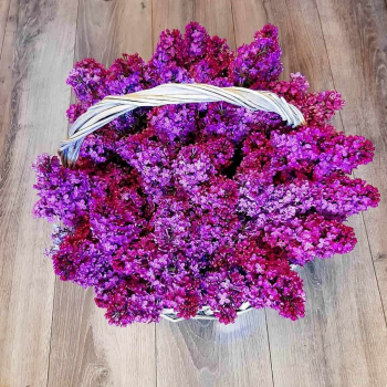 Корзина из 29 веток сирени