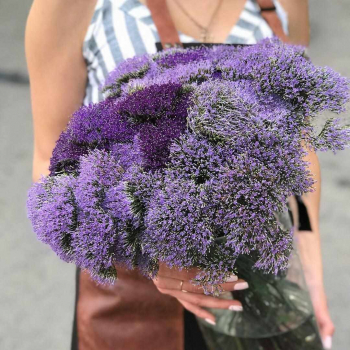 Трахелиум в букете от 9 шт.