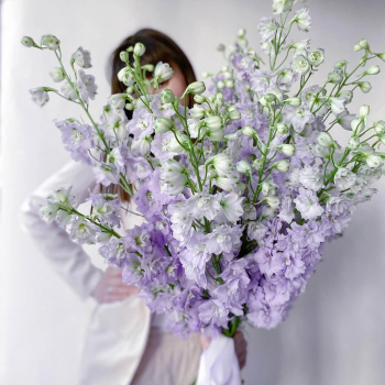 9 дельфиниумов в букете