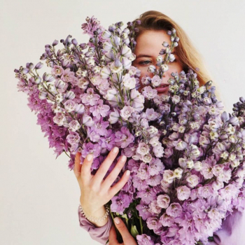 19 фиолетовых дельфиниумов 19 фиолетовых дельфиниумов