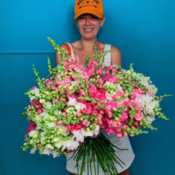 101 розово-белый антирринум в букете 101 розово-белый антирринум в букете